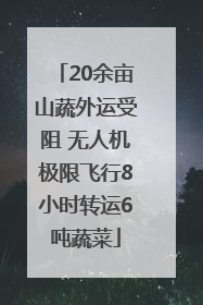 20余亩山蔬外运受阻 无人机极限飞行8小时转运6吨蔬菜