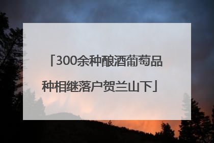 300余种酿酒葡萄品种相继落户贺兰山下