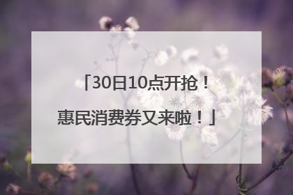 30日10点开抢！惠民消费券又来啦！