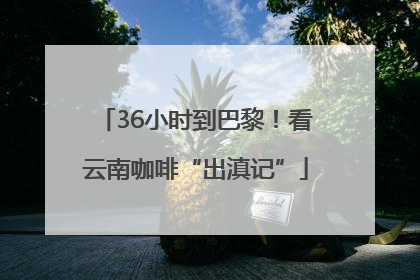 36小时到巴黎！看云南咖啡“出滇记”
