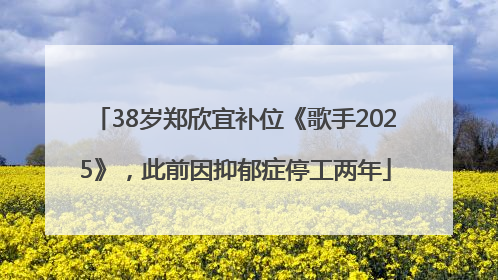 38岁郑欣宜补位《歌手2025》，此前因抑郁症停工两年