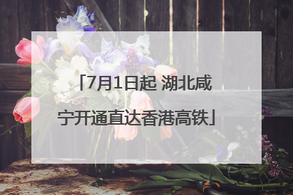 7月1日起 湖北咸宁开通直达香港高铁