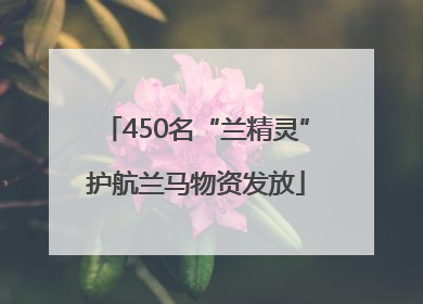 450名“兰精灵”护航兰马物资发放
