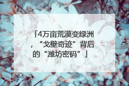 4万亩荒漠变绿洲，“戈壁奇迹”背后的“潍坊密码”