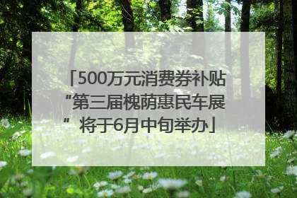 500万元消费券补贴 “第三届槐荫惠民车展”将于6月中旬举办