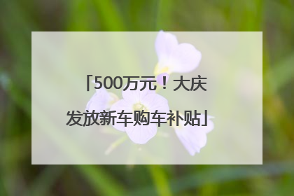 500万元！大庆发放新车购车补贴