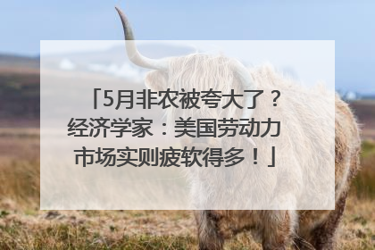 5月非农被夸大了？经济学家：美国劳动力市场实则疲软得多！