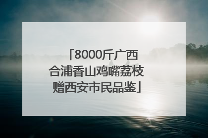 8000斤广西合浦香山鸡嘴荔枝赠西安市民品鉴