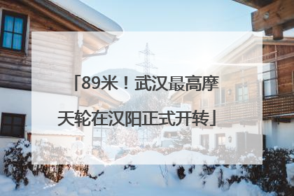 89米！武汉最高摩天轮在汉阳正式开转