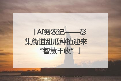 AI务农记——彭集街道甜瓜种植迎来“智慧丰收”