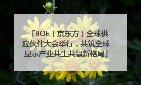 BOE（京东方）全球供应伙伴大会举行，共筑全球显示产业共生共赢新格局