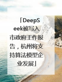 DeepSeek被写入市政府工作报告，杭州将支持算法模型企业发展