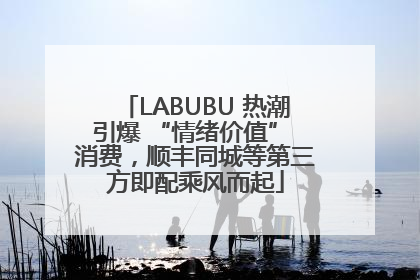 LABUBU 热潮引爆 “情绪价值” 消费，顺丰同城等第三方即配乘风而起