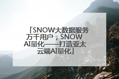 SNOW大数据服务万千用户，SNOW AI量化——打造亚太云端AI量化
