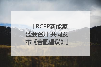 RCEP新能源盛会召开 共同发布《合肥倡议》