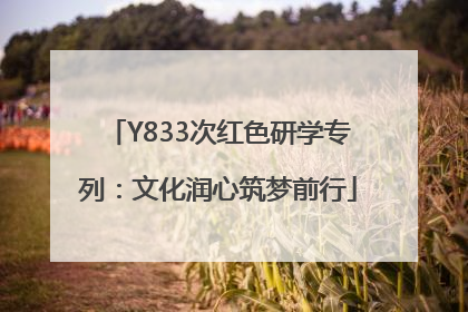 Y833次红色研学专列：文化润心筑梦前行